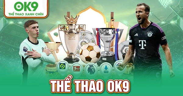 Thể Thao OK9 – Đỉnh Cao Cảm Xúc Cá Cược Toàn Cầu